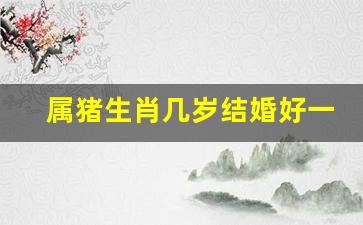 属猪生肖几岁结婚好一点-生肖猪几岁结婚最好