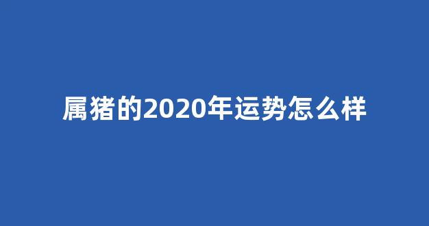属猪的2020年运势怎么样(属猪的2020年的运气)-第1张图片-闻话人 属猪的2020年运势怎么样(属猪的2020年的运气)-第1张图片-闻话人