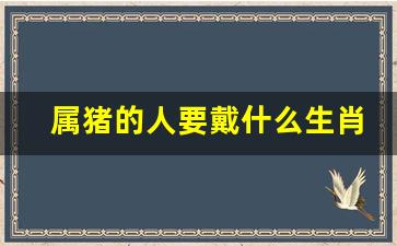 属猪的人戴什么生肖最旺财运-属猪的人要戴什么生肖