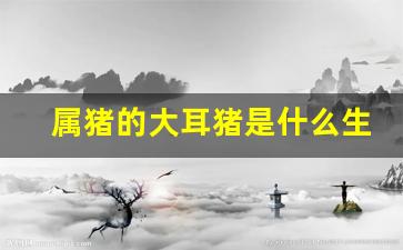 属猪的大耳猪是什么生肖-12生肖大耳猪