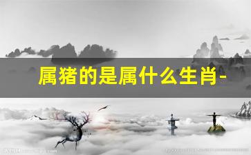 属猪的是属什么生肖-属猪的都是什么