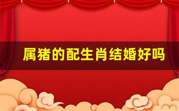 属猪的配生肖结婚好吗-属猪的和属什么的结婚比较好