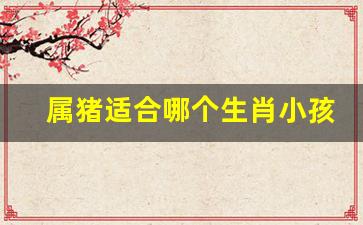 属猪适合哪个生肖小孩玩-属猪的人适合什么属相的孩子