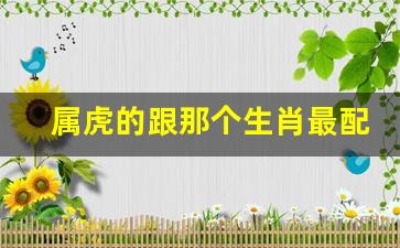 属虎的跟那个生肖最配-属虎和哪个生肖配