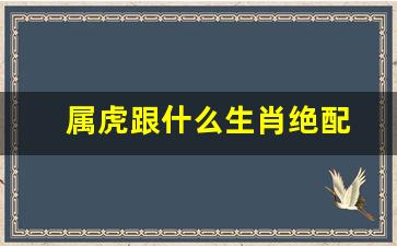 属虎跟什么生肖比较配-属虎跟什么生肖绝配