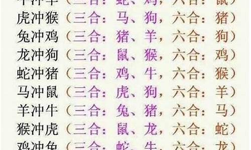 属马与什什生肖好-属马和什么生肖合适