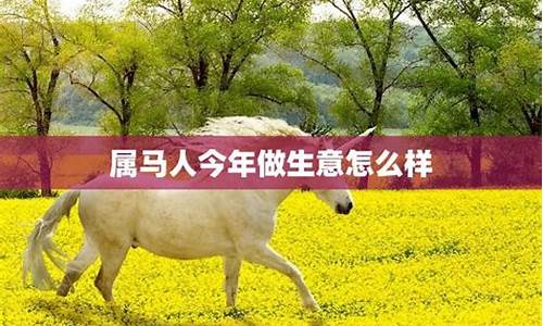 属马的今年财运如何-属马人今年财运如何