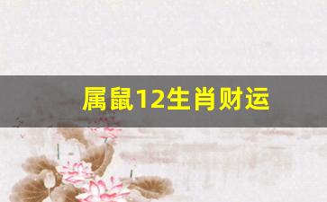 属鼠12生肖财运-属鼠 财运