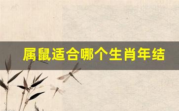 属鼠适合哪个生肖年结婚-属鼠适合什么属相结婚