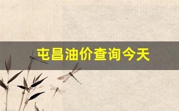 屯昌油画步行街怎么样_屯昌油价查询今天