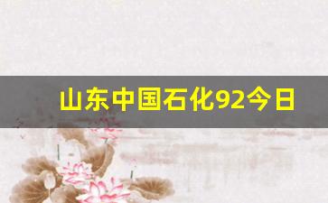 山东中国石化92今日油价多少一升-山东中石化92号汽油多少钱