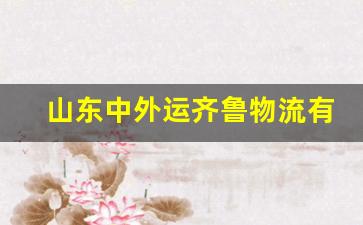 山东中外运齐鲁物流有限公司(山东中外运齐鲁物流有限公司是国企吗)_https://www.hangfeite.com_北交所_第1张