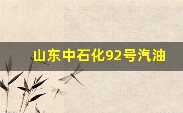 山东中石化92号汽油价格查询表最新-山东中石化92号汽油价格查询