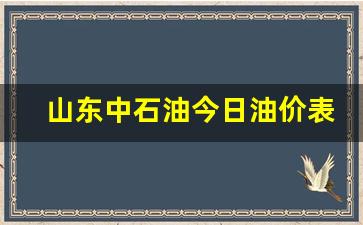 山东中石油油价今日价格-山东中石油今日油价表查询