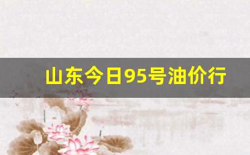 山东95号汽油价格当日油价-山东今日95号油价行情