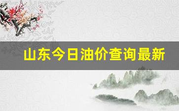 山东今日油价 成品油零售价-山东今日油价查询最新价格表