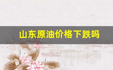 山东原油价格下跌吗-山东原油价格下跌吗现在