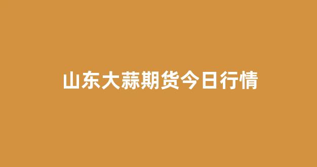 山东大蒜期货今日行情