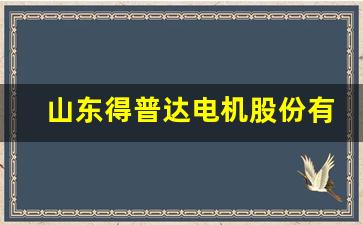 山东得普达电机股份有限公司(山东得普达电机股份有限公司厂此)_https://www.nalian8.com_深交所_第1张