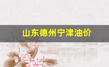 德州市油价_山东德州宁津油价