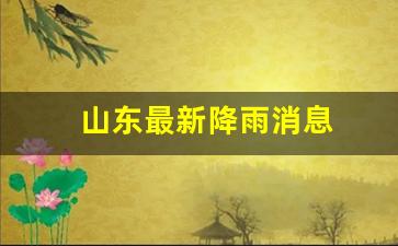 山东最新降雨消息_山东最新降雨消息今天