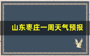 山东枣庄一周天气预报7天情况查询结果_枣庄一周的天气预报15天