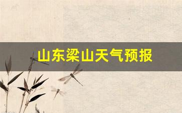 山东梁山天气预报今天_山东梁山天气预报