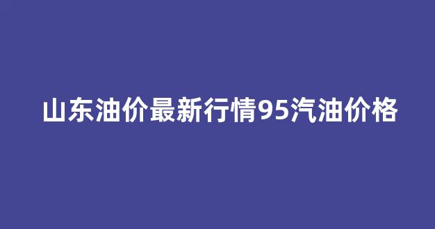 山东95汽油价格今日多少钱一升_山东油价最新行情95汽油价格