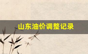 山东油价调整记录_山东油价上涨