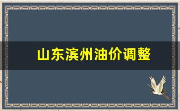 山东滨州油价调整-山东滨州油价今日价格