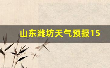 山东潍坊天气预报15天_山东潍坊天气预报15天查询百度