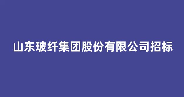 山东玻纤集团股份有限公司招标(山东玻纤集团股份有限公司招标网)_https://www.hangfeite.com_创业板_第1张