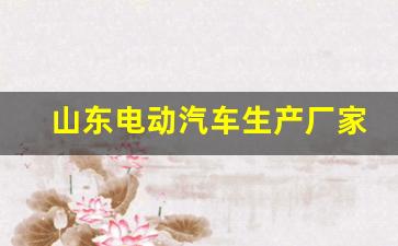 山东电动汽车生产厂家(山东电动汽车生产基地在哪里)_https://www.taocizhiliang.com_装修公司_第1张