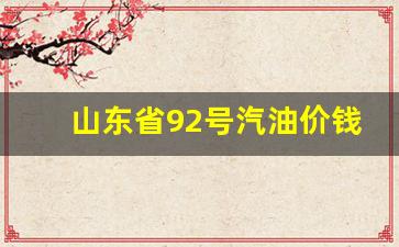 山东92汽油价格多少钱一升_山东省92号汽油价钱