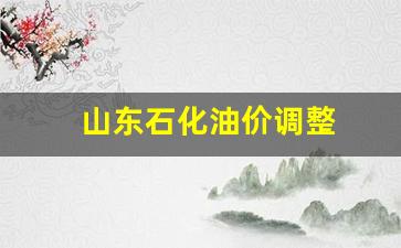 山东石化油价格-山东石化油价调整