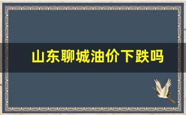 山东聊城油价下跌吗最新-山东聊城油价下跌吗