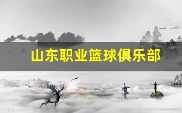 山东篮球职业学校-山东职业篮球俱乐部