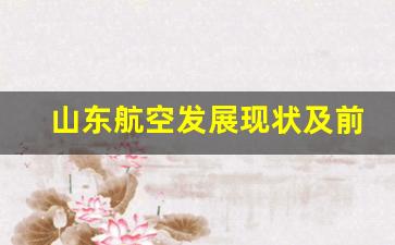 山东航空发展现状及前景(山东航空发展优势和劣势)_https://www.kairu168.com_中金所_第1张