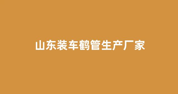 山东装车鹤管生产厂家(装车鹤管规格型号)(1)