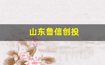 山东鲁信创投(山东鲁信创投有限公司招聘)_https://www.heiljjianzu.com_科创板_第1张