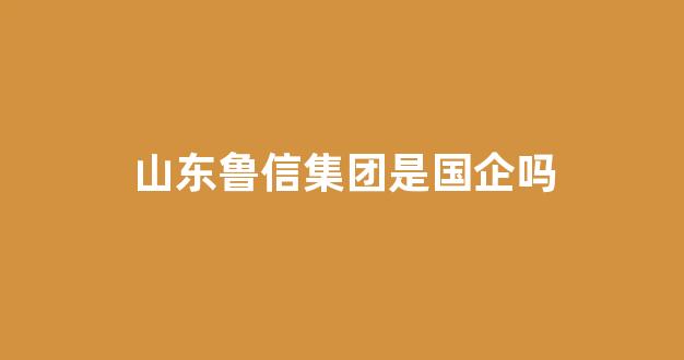 山东鲁信集团是国企吗(山东鲁信集团是国企吗还是央企)_https://www.heiljjianzu.com_上交所_第1张