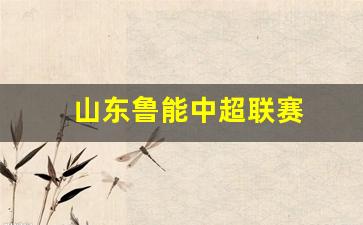 山东鲁能中超联赛-山东鲁能中超联赛赛程