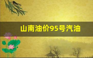 山东95号油价格-山南油价95号汽油