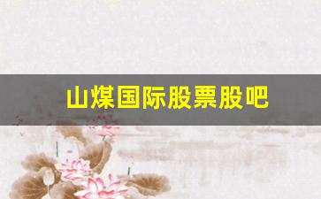山煤国际股票股吧(山煤国际股票股吧最新消息)_https://www.tuogunzhijia.com_黄金期货_第1张