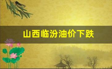 山西临汾油价下跌-临汾油价优惠