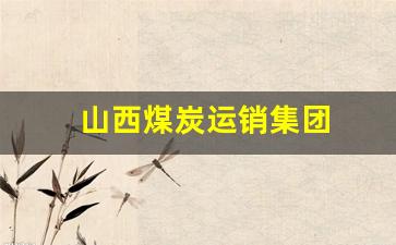 山西煤炭运销集团(山西煤炭运销集团朔州有限公司)_https://www.eamstsz.com_上交所_第1张