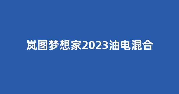 岚图梦想家2023油电混合(岚图汽车是油电混合动力吗)_https://www.taocizhiliang.com_效果图_第1张