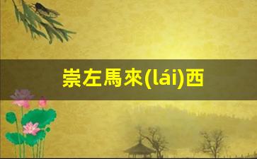 崇左便捷通道，馬來(lái)西亞簽證辦理攻略詳解