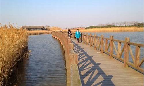 崇明岛东滩湿地公园好玩吗_崇明岛东滩湿地公园