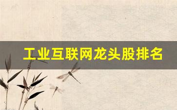工业互联网龙头股排名(工业互联网龙头股票有哪些股票)_https://www.eamstsz.com_科创板_第1张